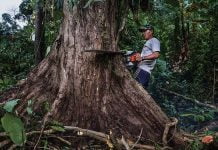 ကချင်ပြည်နယ်မှ သယံဇာတစစ်ပွဲ ကခ်င္ျပည္နယ္ သယံဇာတ