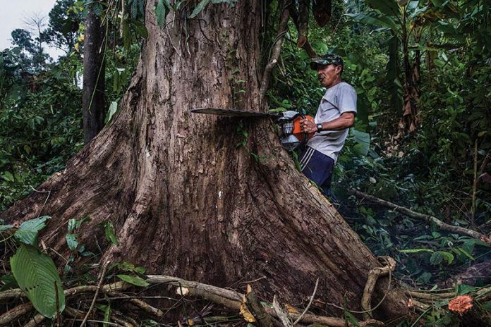 AMBER_Hkun_Lat_MG_1852 ကခ်င္ျပည္နယ္ သယံဇာတ