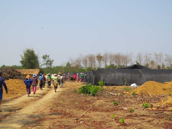 တ႐ုတ္ငွက္ေပ်ာစိုက္ပ်ိဳးေရး မ်ိဳးဆက္ၾကယ္ပြင့္ကုမၸဏီ ၏ တစ္သွ်ူးငွက္ေပ်ာစိုက္ပ်ိဳးေရး