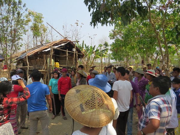 မ်ိဳးဆက္ၾကယ္ပြင့္ကုမၸဏီ ၏ တစ္သွ်ူးငွက္ေပ်ာစိုက္ပ်ိဳးေရး