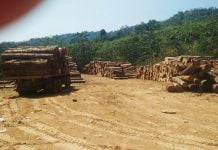 တစ္ရက္ကို သစ္တန္ခ်ိန္ ၅၀၀ ခန္႔ ခိုးထုတ္ေနေသာ တ႐ုတ္ႏိုင္ငံသားမ်ားပိုင္ သစ္စက္ကို တားဆီးေပးေစလို တစ္ရက္ကို သစ္တန္ခ်ိန္ ၅၀၀ ခန္႔ ခိုးထုတ္ေနေသာ တရုတ္ႏိုင္ငံသားပိုင္ သစ္လုပ္ကြက္