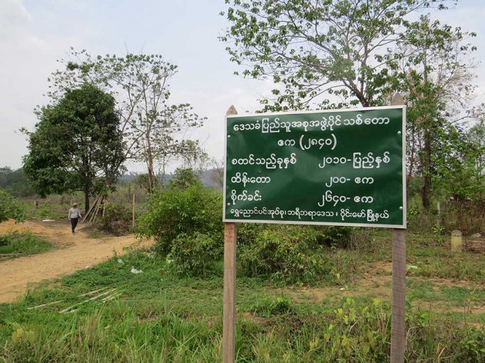 ေဒသပိုင္သစ္ေတာ ေရႊေညာင္ပင္