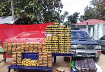 ၂၄၆ ကုဋေ တန်ဖိုးရှိ မူးယစ်ဆေးဝါးများ ဟိုပင်ရဲစခန်းဖမ်းဆီး မူးယစ္ေဆး၀ါး