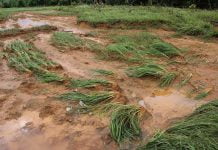 ရေလှောင်ကန်ကျိုးပေါက်၍ ပျက်စီးသွားသည့် လယ်များအတွက် ကုမ္ပဏီက ဒေသခံများကို သိန်းငါးဆယ်ကျော် လျော်ကြေးပေး
