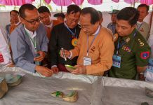 ပြည်နယ်တွင်း ကျောက်မျက်ပြပွဲတွင် ကျောက်မျက် အတွဲ ၃၀၀ ကျော် ရောင်းရ