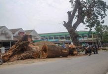 မြစ်ကြီးနားမြို့တွင်း လမ်းမကြီးများ တိုးချဲ့ခြင်းနှင့် အပင်ခုတ်လှဲခြင်းအကျိုးနှင့် အပြစ်ကို သုံးသပ်ကြည့်ခြင်