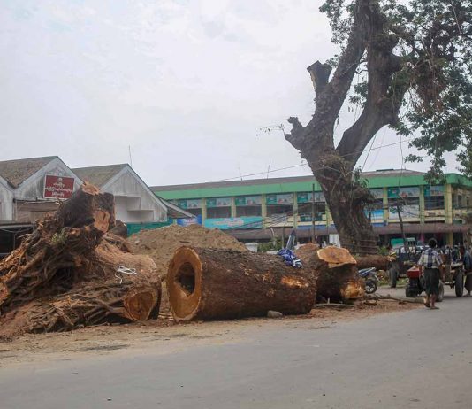 မြစ်ကြီးနားမြို့တွင်း လမ်းမကြီးများ တိုးချဲ့ခြင်းနှင့် အပင်ခုတ်လှဲခြင်းအကျိုးနှင့် အပြစ်ကို သုံးသပ်ကြည့်ခြင်