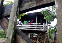 မြစ်ဆုံစီမံကိန်းကြောင့် ပြောင်းရွှေ့ခံထားရသည့် အောင်မြင်သာကျေးရွာရှိ နေအိမ်များ ပျက်စီးယိုယွင်းနေ