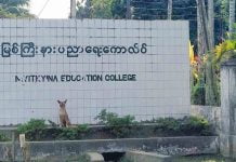 တစ်ပြည်နယ်လုံးရှိ ပညာရေးကောလိပ်ကို (၂)နှစ်သင်ပညာရေးအစားယခုနှစ်မှ စတင်ကာ (၄)နှစ်သို့ ပြောင်းလဲဖွင့်လှစ် ပညာရေးကောလိပ် မြစ်ကြီးနား
