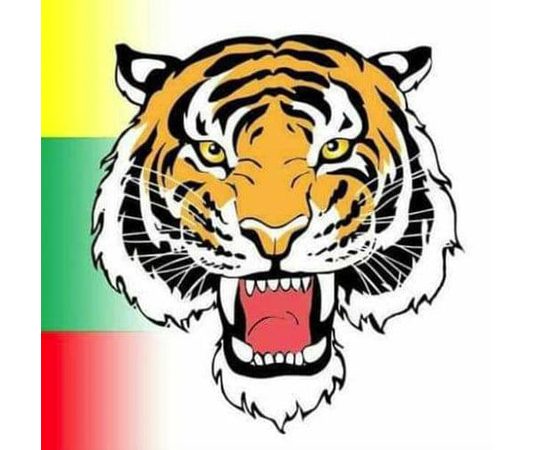 ရှမ်းအမျိုးသား ဒီမိုကရေစီအဖွဲ့ချုပ်ပါတီ (SNLD) အနေဖြင့်လာမည့်ရွေးကောက်ပွဲတွင်ကချင်ပြည်နယ် အတွင်း မဲဆန္ဒနယ် (၁၂) နေရာတွင် ဝင်ရောက်ယှဉ်ပြိုင်မည်