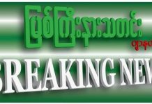 မိုးညှင်းမြို့မှ စစ်အာဏာရှင်ဆန့်ကျင်ရေးလှုပ်ရှားသူအချို့ဖမ်းဆီးခံရ