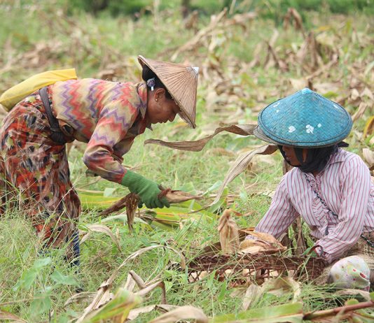 မျှော်လင့်ချက်မဲ့နေဦးမယ့် ကချင်ပြည်နယ်က သိမ်းဆည်းခံ လယ်ယာမြေပြဿနာ