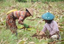 စာရွက်စာတမ်း အထောက်အထားစုံလင်စွာ တင်ပြပါက တပ်သိမ်းမြေပြသနာများကို ဖြေရှင်းပေးသွားမည်ဟု စစ်ကောင်ခန့် ကချင်ပြည်နယ် ဝန်ကြီးချုပ် ဦးခက်ထိန်နန်ပြော