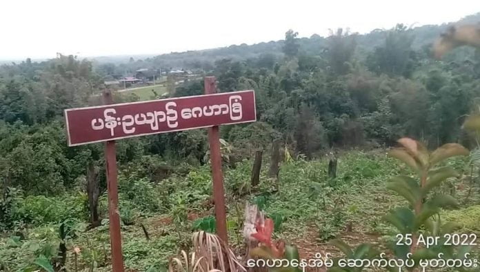 ပန်းဥယျာဉ်ဂေဟာ ပန်းဥယျာဉ်ဂေဟာ