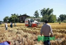 မိုးညှင်းတောင်သူများ လယ်ယာမြေလုပ်ပိုင်ခွင့်လက်မှတ် ပုံစံ(၇) ချထားပေးရန် ဝန်ကြီးချုပ်ထံစာတင်ခဲ့ပြီးနောက် ထပ်မံစာတင်ရန် အကြောင်းကြားလာ မိုးညှင်းတောင်သူ