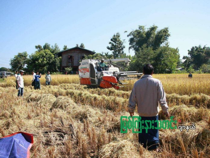 မိုးညှင်းတောင်သူ မိုးညှင်းတောင်သူ