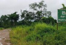 နောင်းမီနှင့် ဝါရာဇွပ်ကျေးရွာကြား ကားလမ်းပျက်စီးနေပြီး ခရီးသွားများ အခက်ကြုံ
