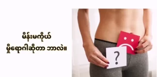 မိန်းမကိုယ် မှိုရောဂါဆိုတာ ဘာလဲ။
