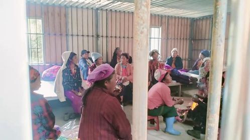 ဖရဲဒေသခံဖမ်းဆီးခံရ