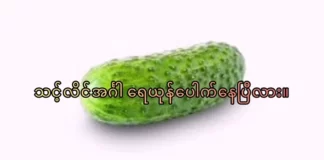 သင့်လိင်အင်္ဂါ ရေယုန်ပေါက်နေပြီလား။