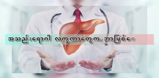 အသည်းရောဂါ လက္ခဏာတွေက ဘာဖြစ်စေမလဲ ။
