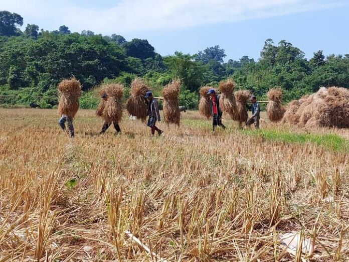 မိုးညှင်းမြို့၊ ဘီလူးမြို့