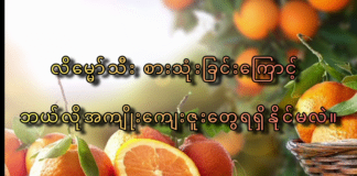 လိမ္မော်သီးစားသုံးခြင်းကြောင့် ဘယ်လိုအကျိုးကျေးဇူးတွေ ရရှိနိုင်မလဲ။