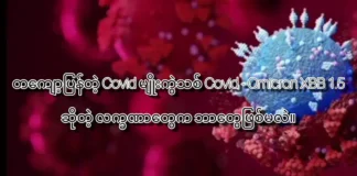 တစ်ကျော့ပြန်တဲ့ Covid မျိုးကွဲသစ် covid – omicron XBB 1.5 ဆိုတဲ့လက္ခဏာတွေက ဘာတွေဖြစ်မလဲ။ d