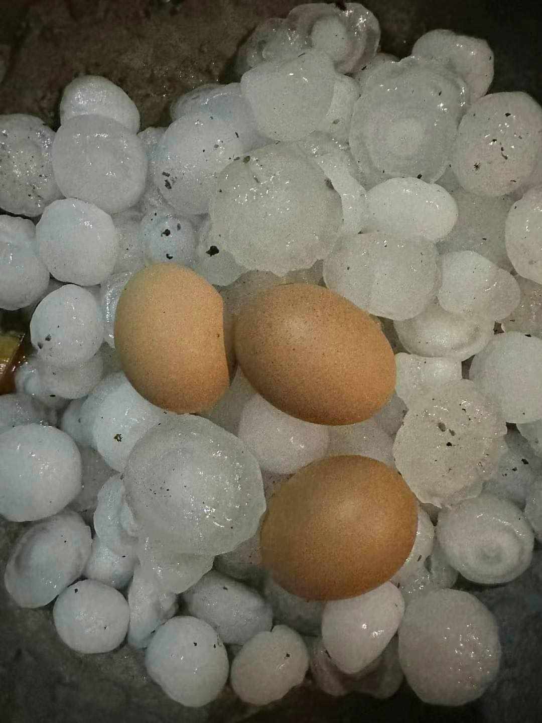 ဖားကန့်မိုးသီးကျ