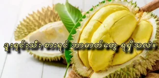 ဒူးရင်းသီး စားရင် ဘာဓါတ်တွေရရှိသလဲ။