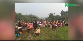 မြစ်ကြီးနားသတင်းဂျာနယ်၏ အပတ်စဉ် TV အစီအစဉ်တင်ဆက်မှု။ (ကချင် – ဂျိန်းဖော့) ဇွန်လ (၅) ရက်။