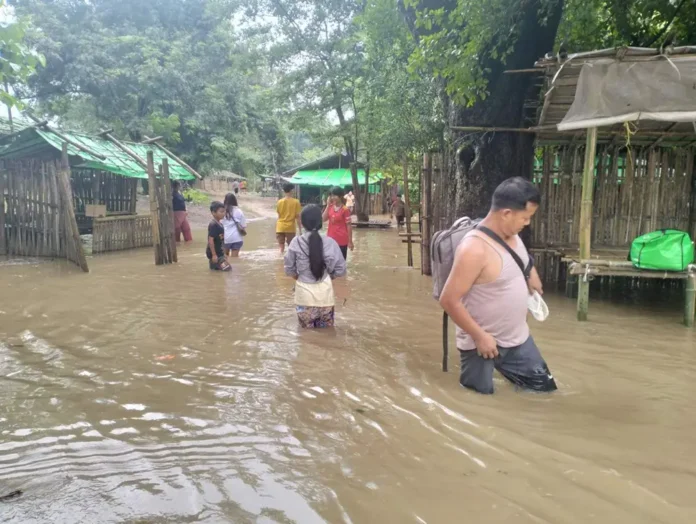 နောင်းချိန်းစစ်ရှောင်