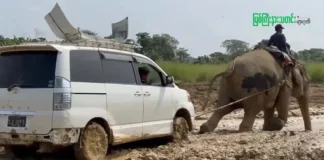 မြစ်ကြီးနားသတင်းဂျာနယ်၏ အပတ်စဉ် TV အစီအစဉ်တင်ဆက်မှု။ (မြန်မာ)