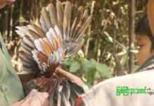 ရုန်းကန်ရှင်သန် (ဓာတ်ပုံဆောင်းပါး)