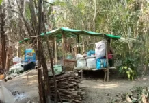 တောတောင်ထဲအခက်အခဲတွေကြောင့် ဝါရာဇွပ်ပြည်သူအချို့ နေရပ်ပြန်