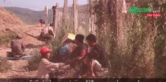 မြစ်ကြီးနားသတင်းဂျာနယ်၏ အပတ်စဉ် TV အစီအစဉ်တင်ဆက်မှု။ (ကချင် – ဂျိန်းဖော့) နိုဝင်ဘာလ (၁၂) ရက်။