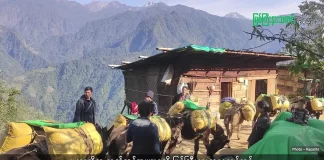 မြစ်ကြီးနားသတင်းဂျာနယ်၏ အပတ်စဉ် TV အစီအစဉ်တင်ဆက်မှု။ (ကချင် – ဂျိန်းဖော့) ဇန်နဝါရီလ (၁၄) ရက်။