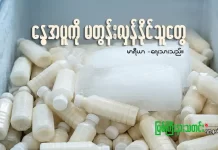 နွေအပူကို မတွန်းလှန်နိုင်သူတွေ