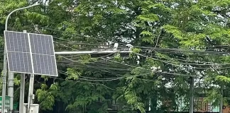 မြစ်ကြီးနားမြို့မှာ ဗုဒ္ဓဟူးနေ့ထွက်တဲ့ စက်သုံးဆီအသုံးပြု ယာဉ်တွေကို ဖမ်းဆီးနေ