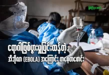 ရောဂါဖြစ်ပွားမှု ပြင်းထန်နေတဲ့ အီဘိုလာ(Ebola) ရောဂါအကြောင်း တစေ့တစောင်း
