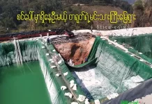 စင်ပေါ်မှာ ရှိနေဦးမယ့် တရုတ်ရဲ့ မင်းသားကြီး မြေရှား