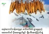 ပိုးဆေးနွယ်ရှင်- ရှီးပဒီး