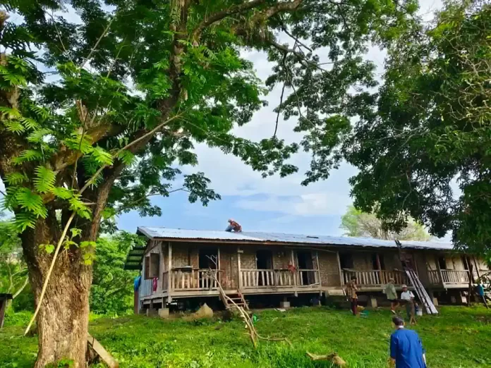 လဝါးစစ်ရှောင်တွေ နေရပ်ပြန်လာ