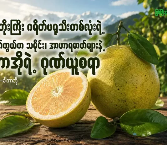 တန်ဘိုးကြီး ဂရိတ်ဖရုသီးတစ်လုံးရဲ့ နောက်ကွယ်ကသမိုင်း၊ အာဟာရဓာတ်များနဲ့ ပူတာအိုရဲ့ ဂုဏ်ယူစရာ
