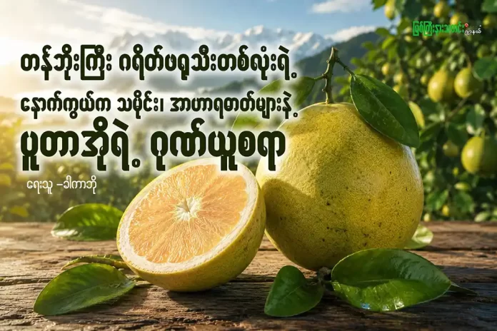 ပူတာအို ဂရိတ်ဖရုသီး