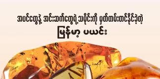 အပင်တွေနဲ့အင်းဆက်တွေရဲ့ သမိုင်းကို မှတ်တမ်းတင်နိုင်ခဲ့တဲ့ မြန်မာ့ပယင်း