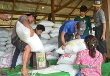 မြန်မာမှာ ကချင်ပြည်နယ်က စံချိန်တင် ဆန်ဈေးအများဆုံးမြင့်တက်တဲ့ ဒေသဖြစ်နေ