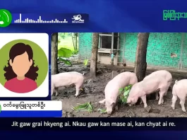 မြစ်ကြီးနားသတင်းဂျာနယ်၏ အပတ်စဉ် TV အစီအစဉ်တင်ဆက်မှု။ (ကချင် – ဂျိန်းဖော့) ဩဂုတ်လ (၁၂) ရက်။