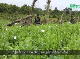 မြစ်ကြီးနားသတင်းဂျာနယ်၏ အပတ်စဉ် TV အစီအစဉ်တင်ဆက်မှု။ (ကချင် – ဂျိန်းဖော့) ဩဂုတ်လ (၁၉) ရက်။