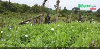မြစ်ကြီးနားသတင်းဂျာနယ်၏ အပတ်စဉ် TV အစီအစဉ်တင်ဆက်မှု။ (ကချင် – ဂျိန်းဖော့) ဩဂုတ်လ (၁၉) ရက်။